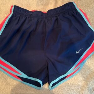 Nike Blue and Pink Athletic Shorts Lightweight Design smoke free home like new